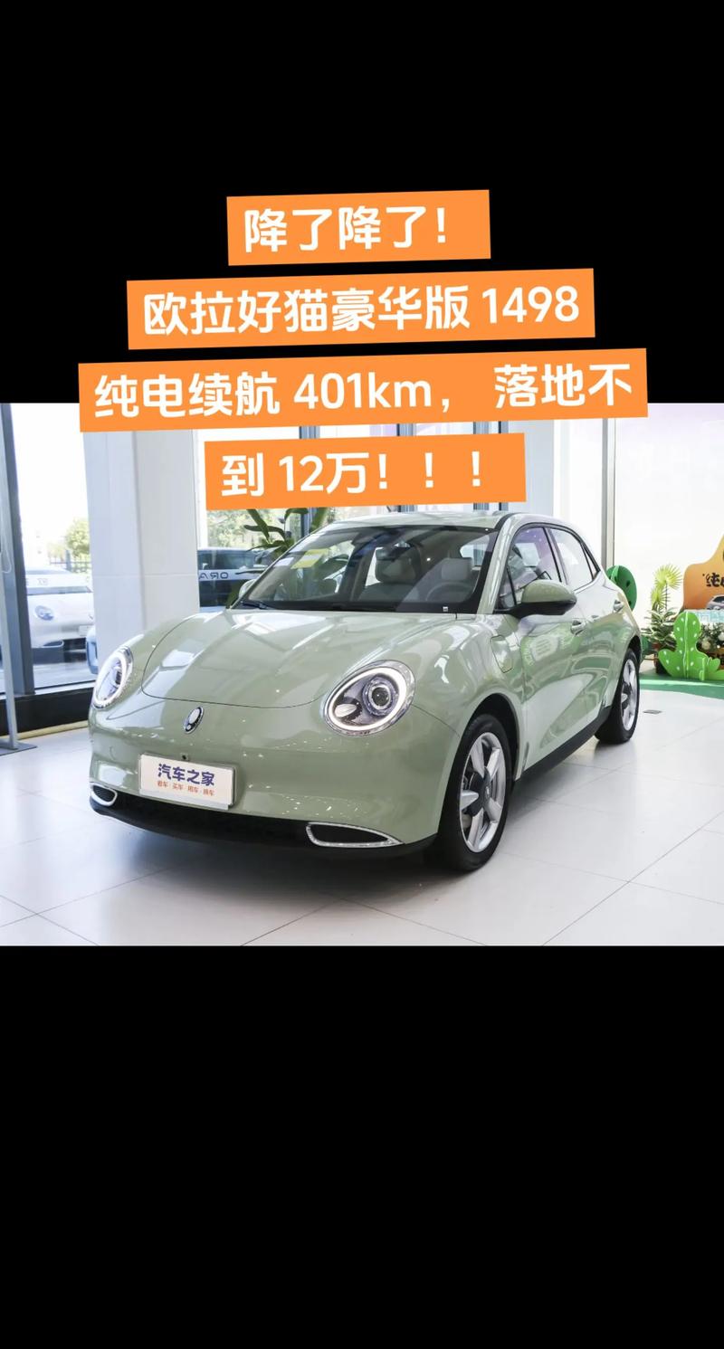 欧拉熊猫汽车报价／欧拉熊猫配色