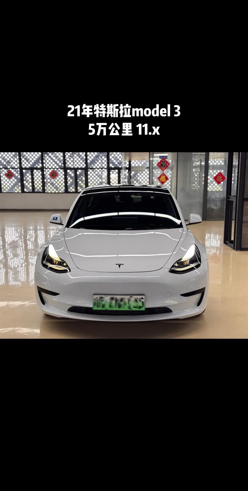 新能源汽车十大名牌特斯拉(新能源车大品牌)