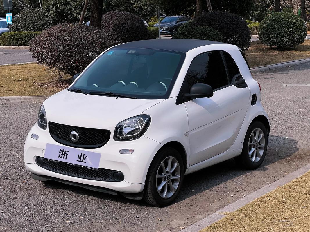 奔驰smart纯电(奔驰smart纯电动汽车价格)