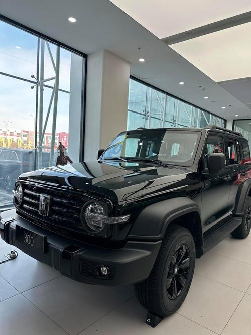 【买长城300的十大忠告,坦途克300十大忠告】