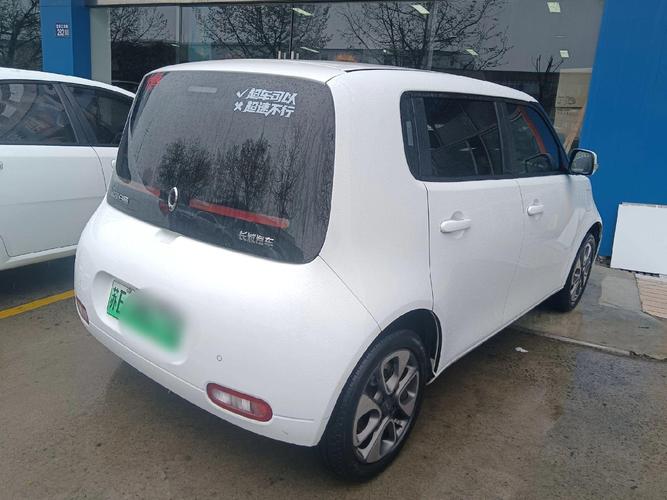 欧拉白猫2021款/欧拉白猫2020款